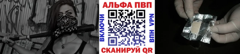 A PVP СК КРИС  Обь 