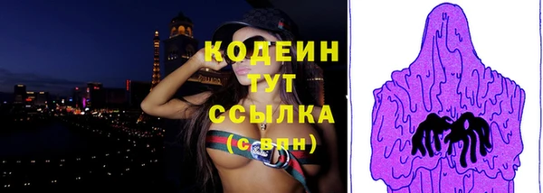 мдпв Гусев