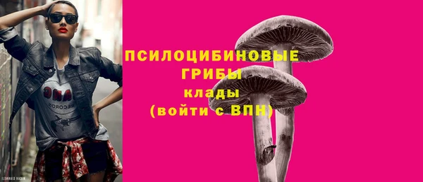 метадон Гусь-Хрустальный