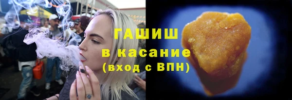 мдпв Гусев