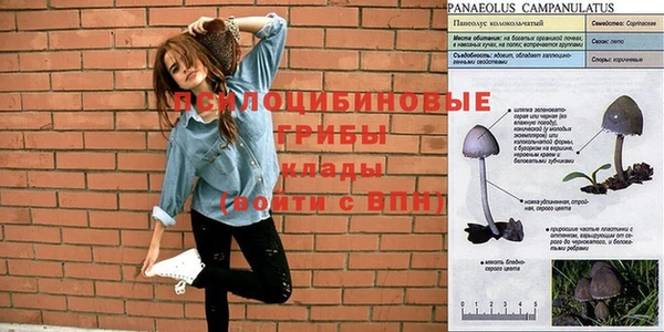 метадон Гусь-Хрустальный