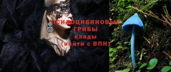 метадон Гусь-Хрустальный