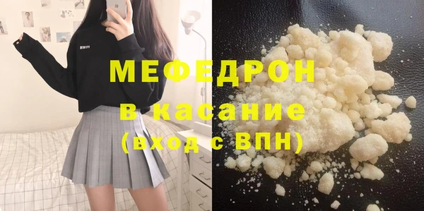 мдпв Гусев