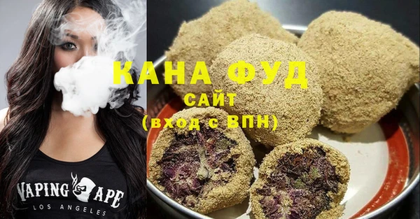 мдпв Гусев