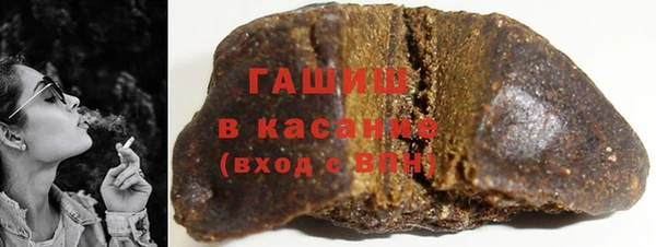 мдпв Гусев