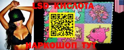 крисы Гагарин