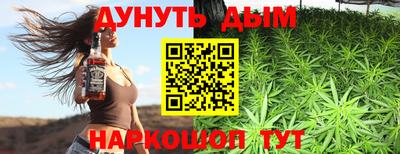 крисы Гагарин