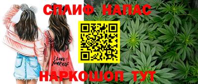крисы Гагарин