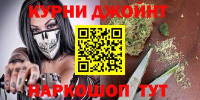 крисы Гагарин