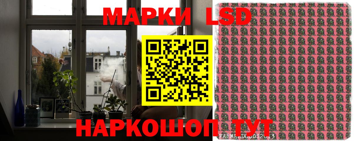 Наркотические марки 1500мкг  Наркотические марки 1500мкг  Обь  Марки 25I-NBOMe  Вход с VPN 