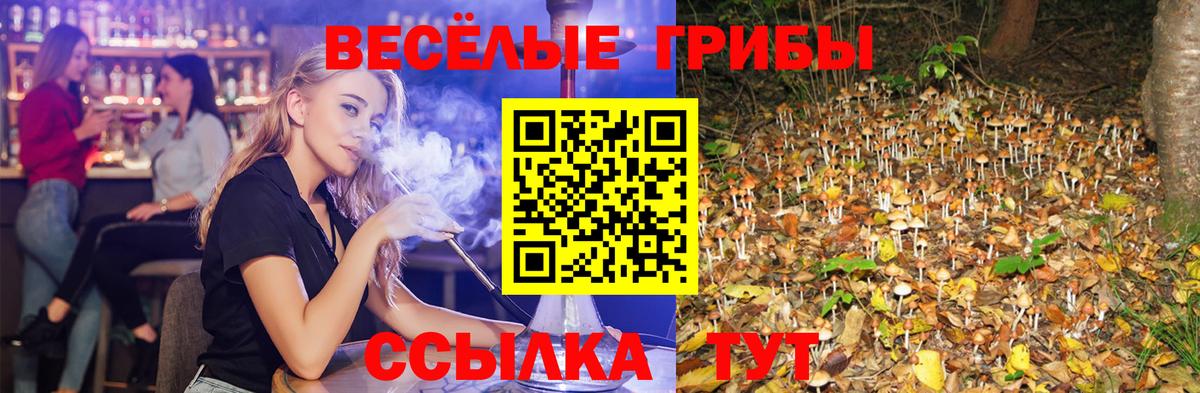 что такое   Вход с VPN  Обь  Псилоцибиновые грибы ЛСД 
