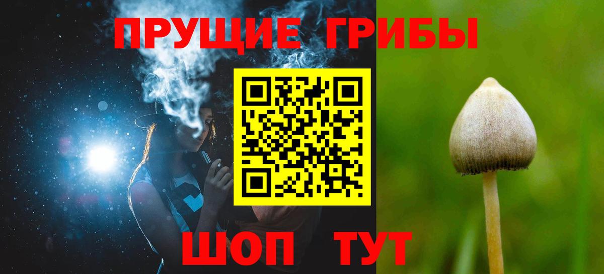 Псилоцибиновые грибы MAGIC MUSHROOMS Обь